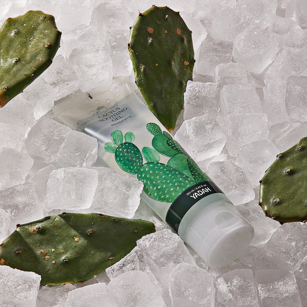 Yadah Fresh & Calm Gift Set