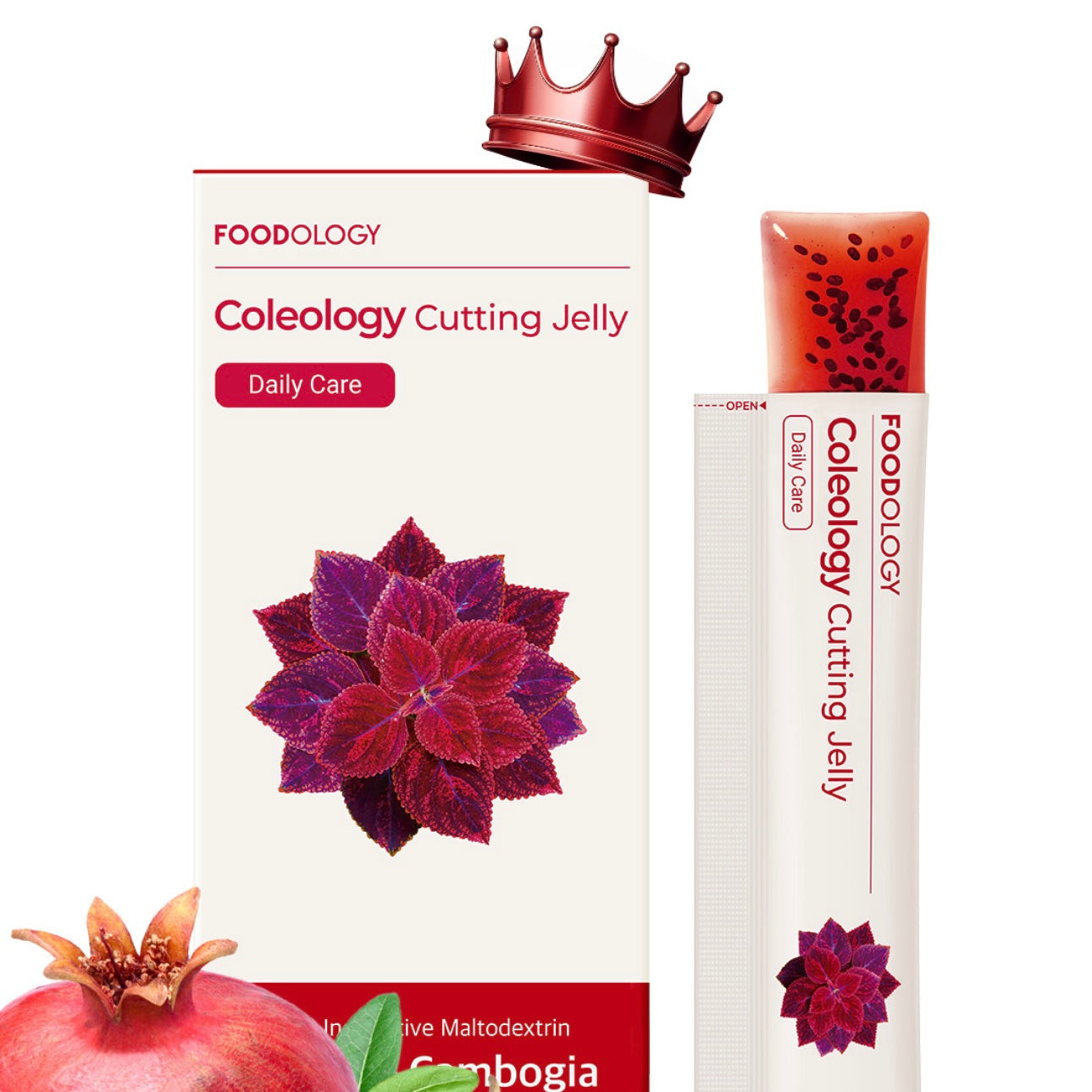 Foodology Coleology Cutting Jelly